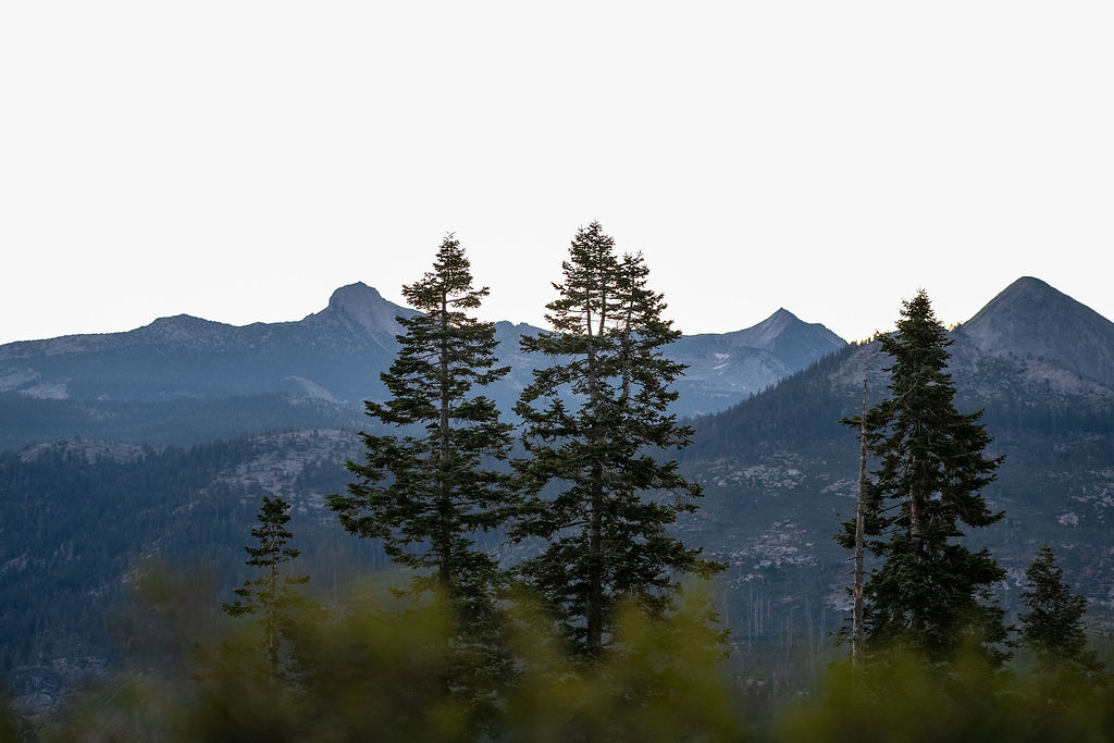 stunning view of yosemite national park