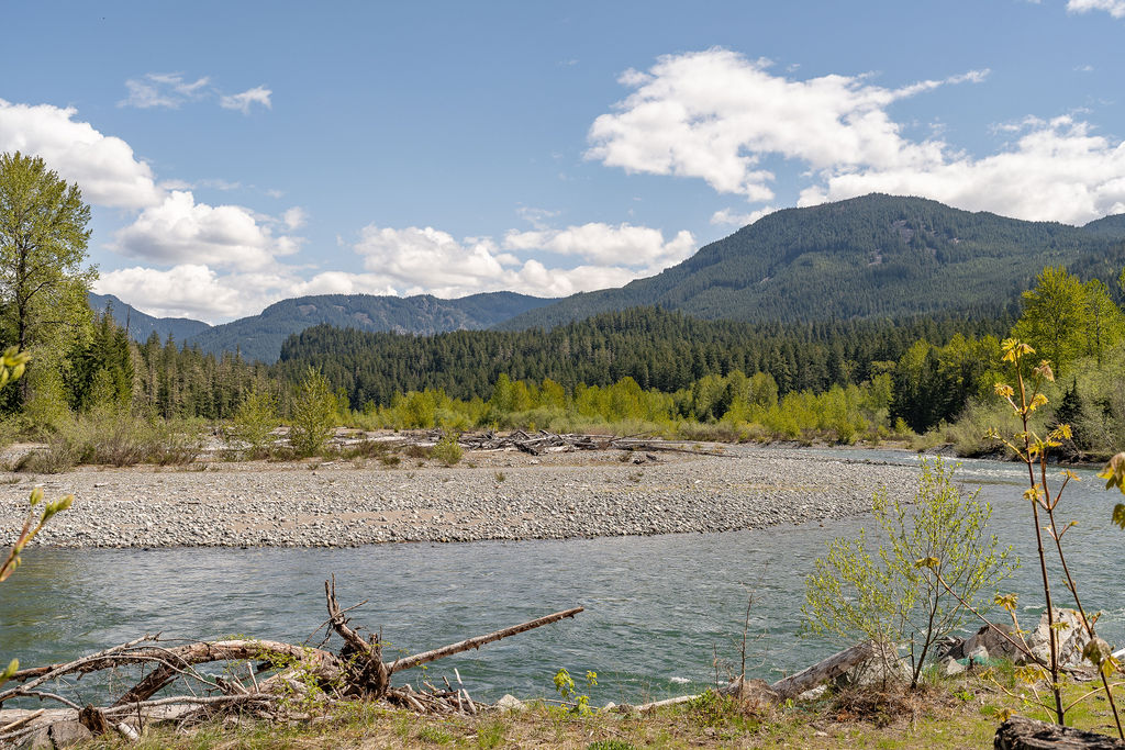 mt rainier 