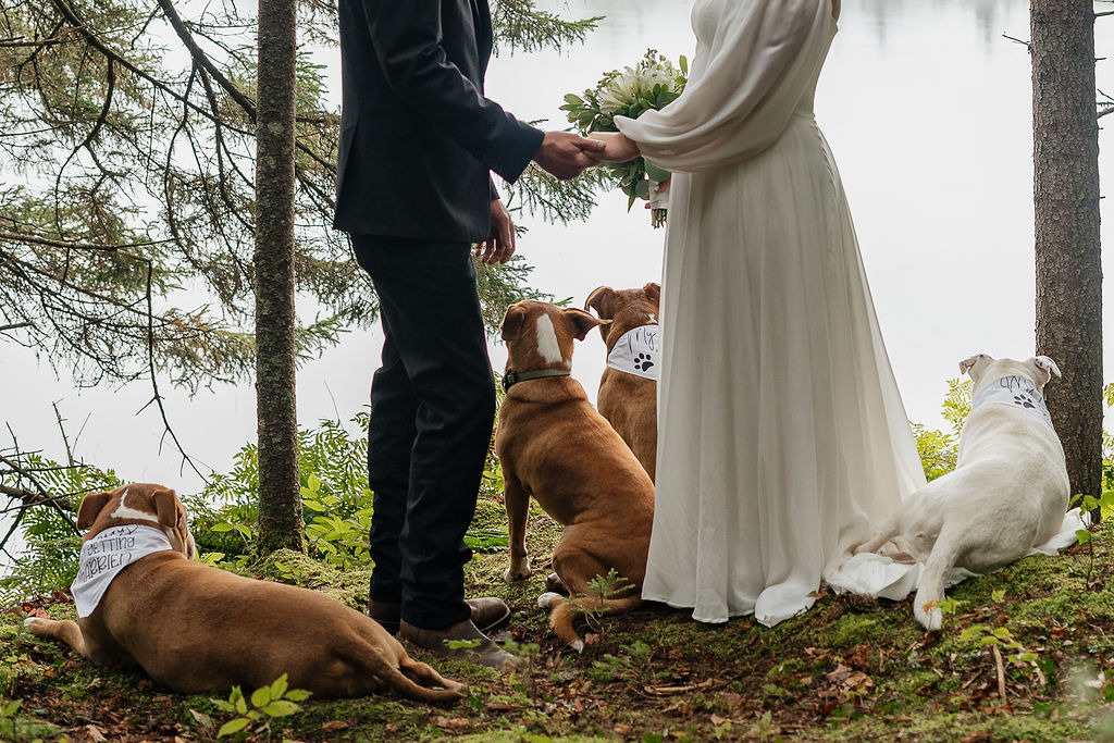 happy couple at their intimate elopement