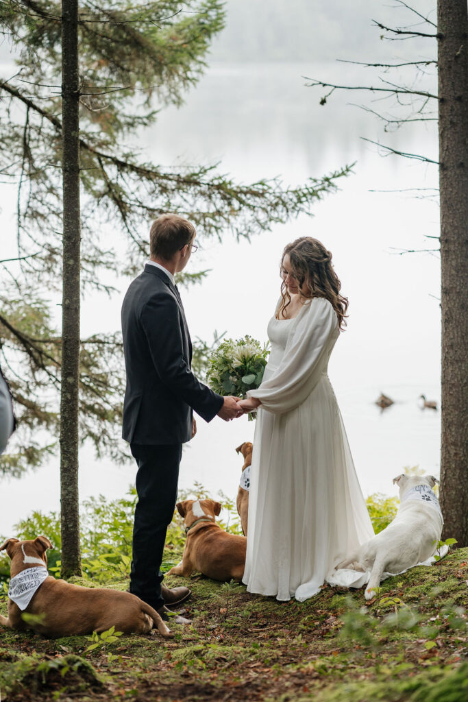 bride and groom holding hands at their wedding ceremony