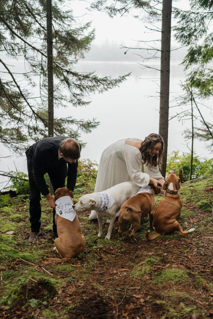 bride and groom with their dogs at their Intimate and Intentional Elopement