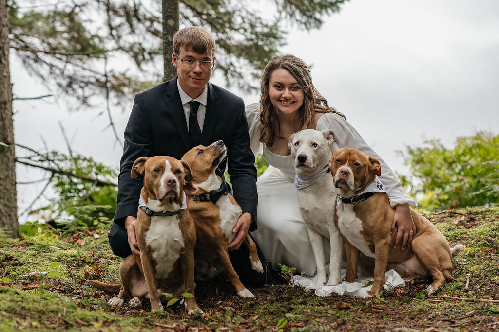 portrait of the bride and groom with their dogs 