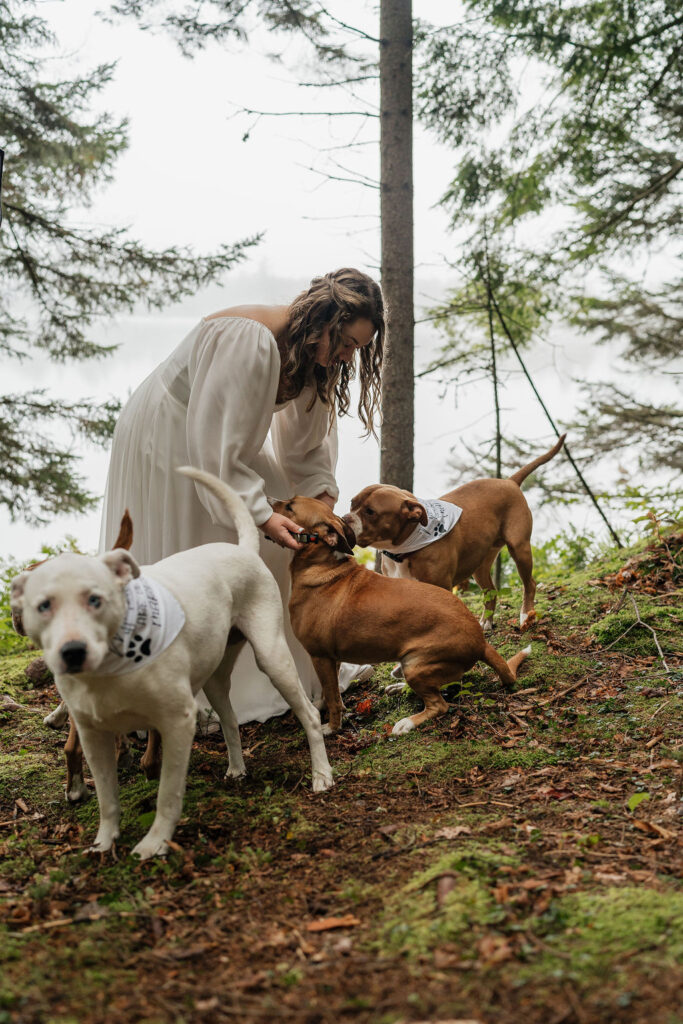 bride at her elopement with her dogs 