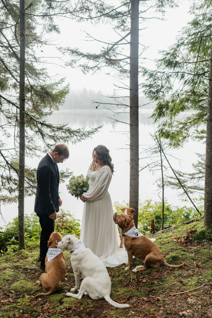 bride and groom at their wedding ceremony 