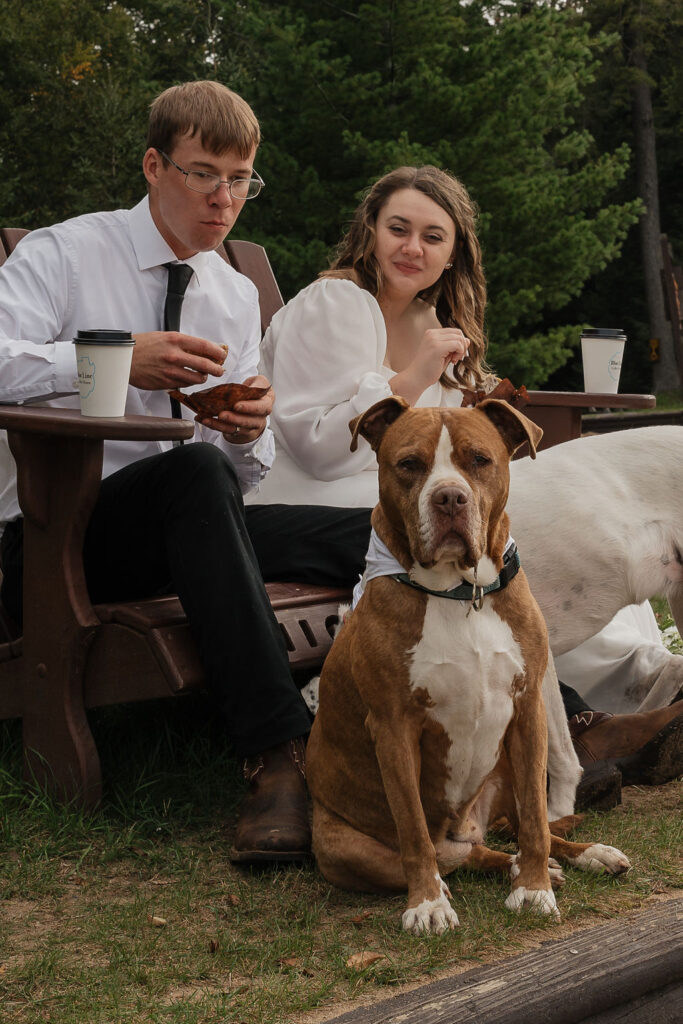 cute portrait of the bride and groom with their dogs