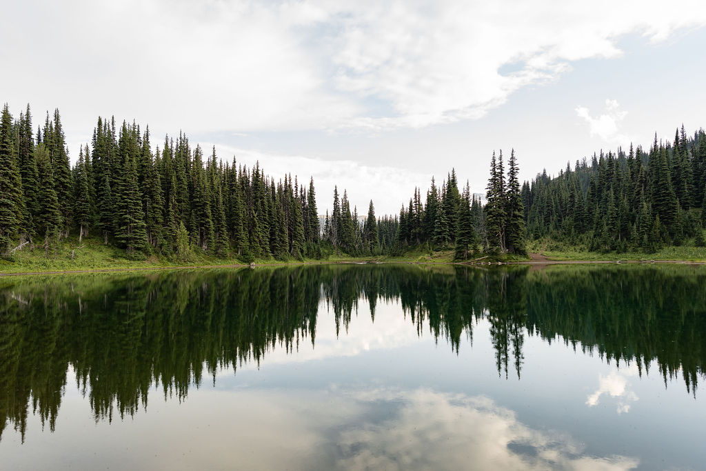 Adventure Elopement at Mount Rainer National Park