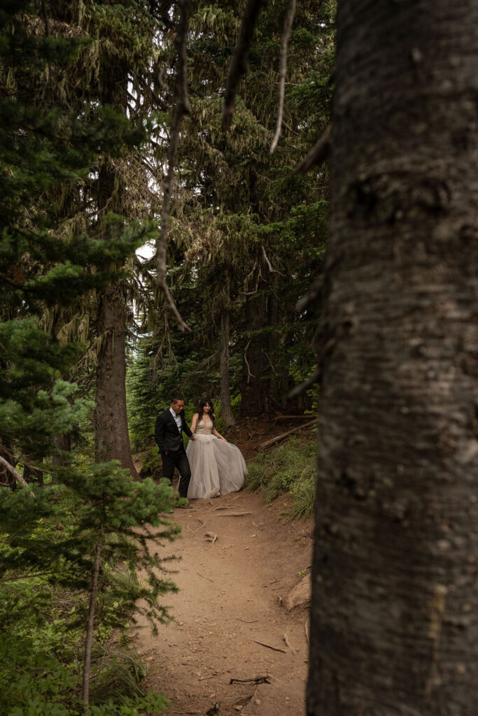 couple walking around the forest during their photoshoot