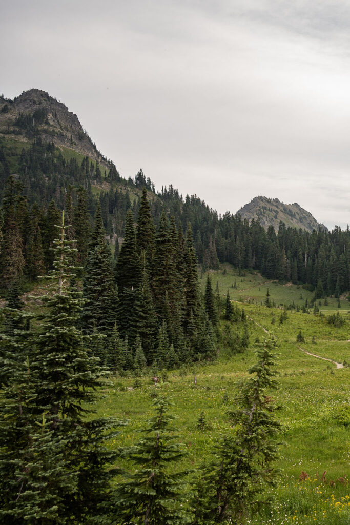 stunning mt. rainier