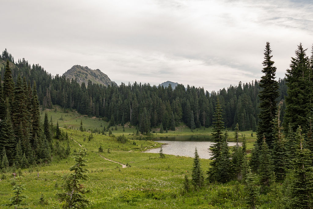 stunning picture of mt. rainier national park 