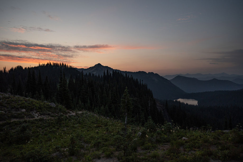 How to Elope in Mt. Rainier National Park