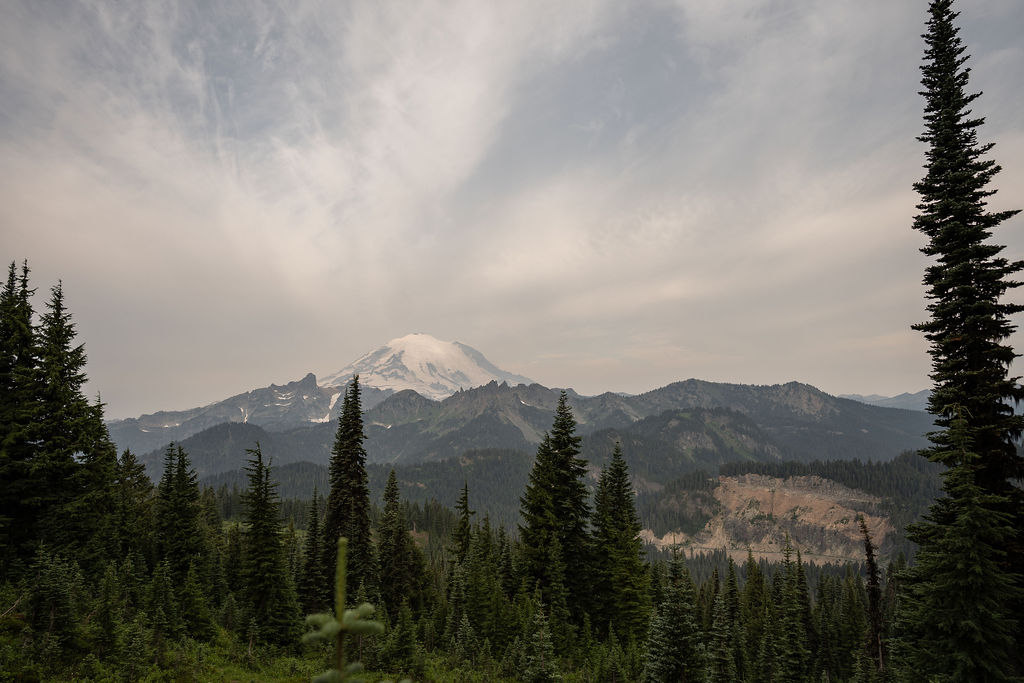 How to Elope in Mt. Rainier National Park