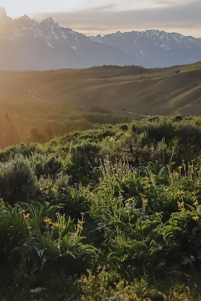 stunning picture of the stunning GTNP