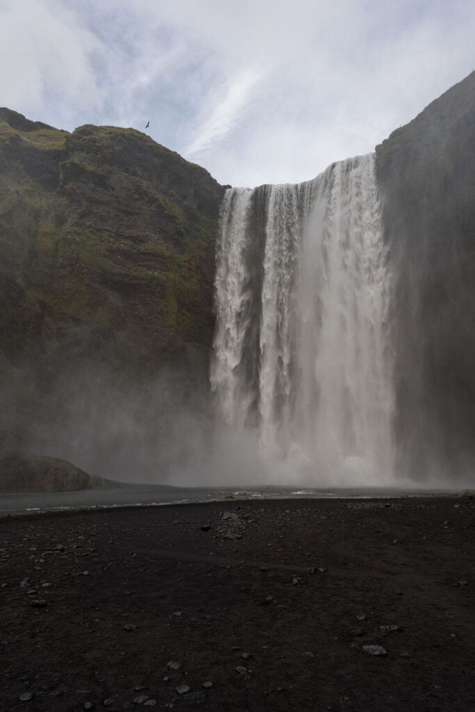 Why a Full-Day Iceland Elopement Lets You Soak Up Every Moment