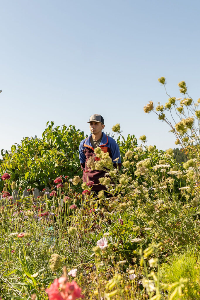 groom picking flowers for the brides bouquet