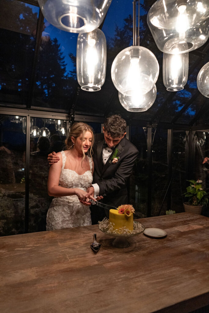 Newly married couple cutting their wedding cake
