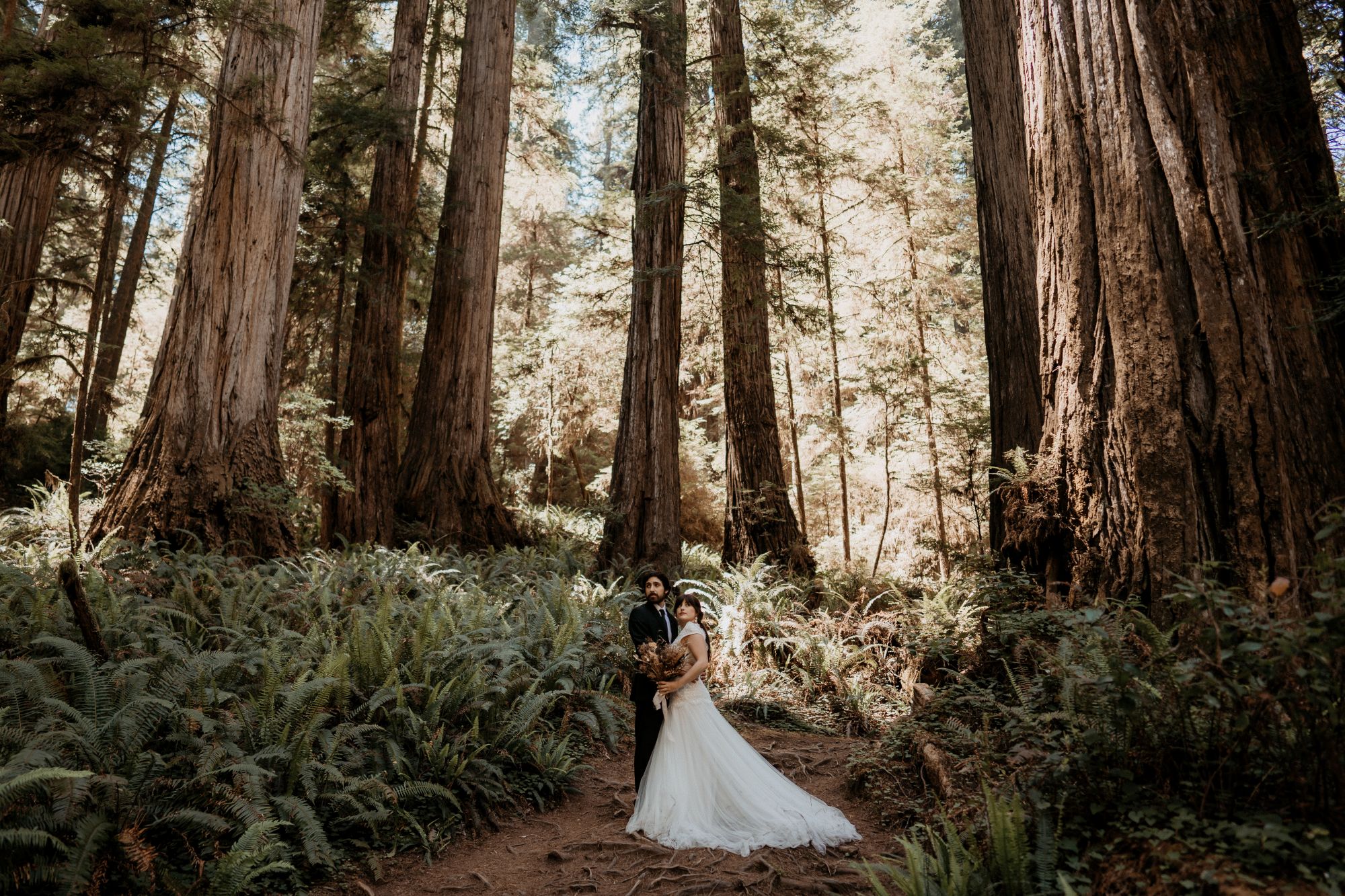 Bride and groom surrounded by towering redwoods and ferns in Northern California